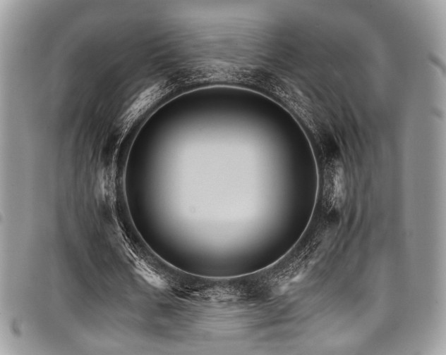 X0000098040578200803281434
