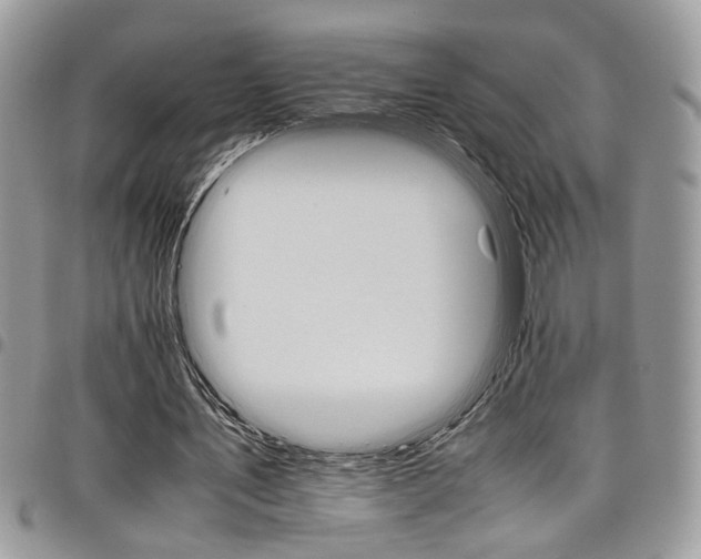 X0000098040579200803281434