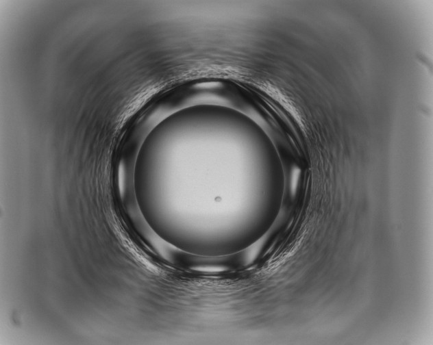 X0000098040581200803281434