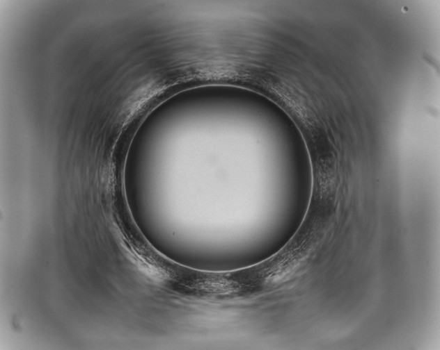 X0000098040583200803281433