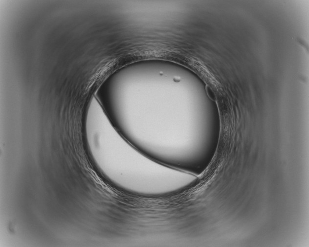 X0000098040585200803281433