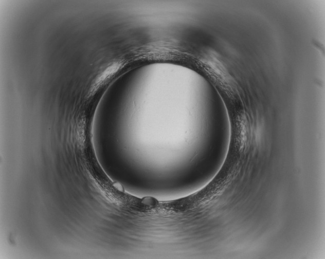 X0000098040586200803281433