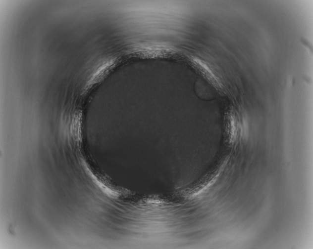 X0000098040590200803281433