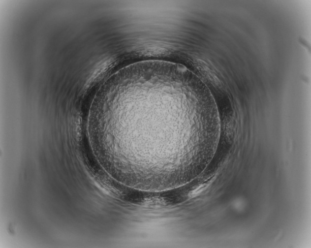 X0000098040591200803281433