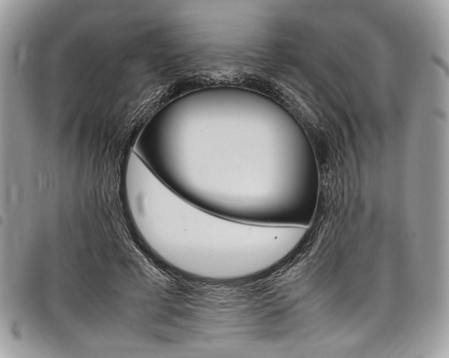 X0000098040593200803281433