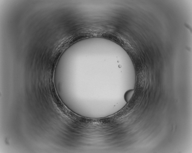 X0000098040594200803281433