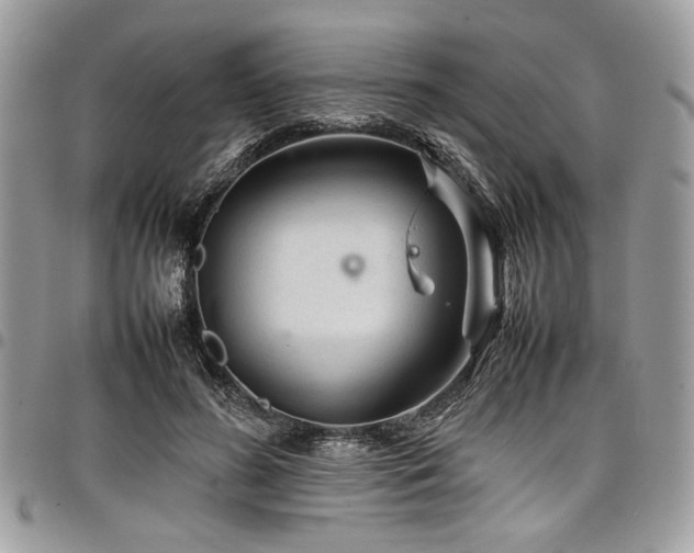 X0000098040596200803281433