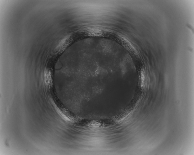 X0000098040598200803281433