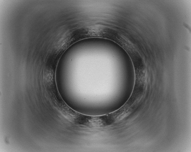 X0000098040603200803281433