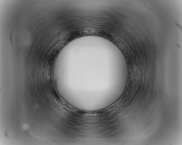 X0000098040606200803281433