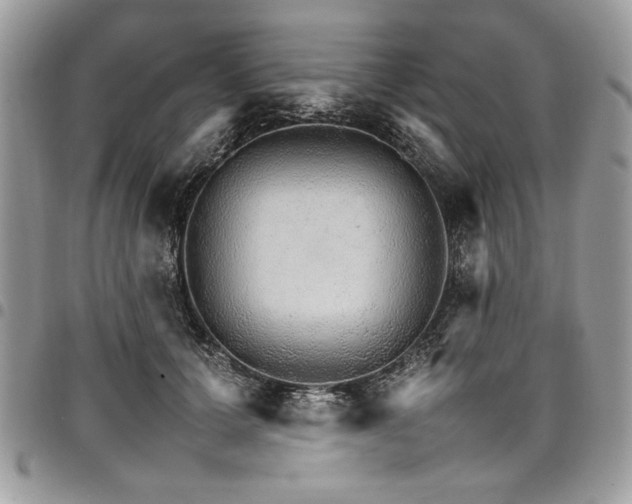X0000098040607200803281433