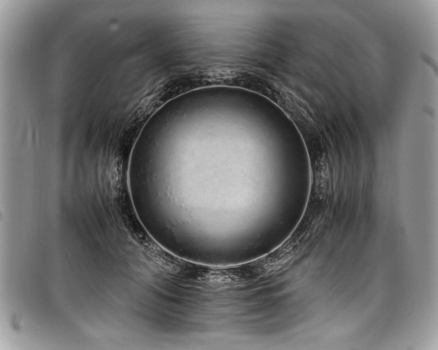 X0000098040608200803281433
