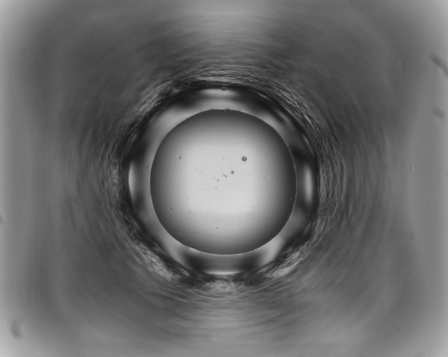 X0000098040609200803281433