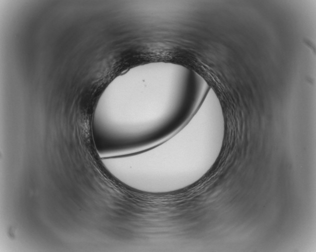 X0000098040613200803281433
