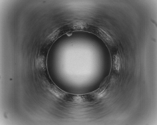 X0000098040616200803281433