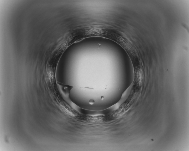 X0000098040617200803281433