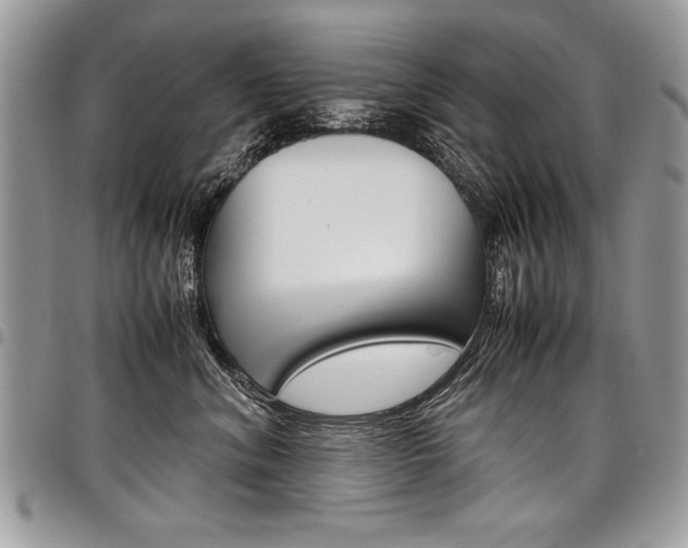 X0000098040620200803281433