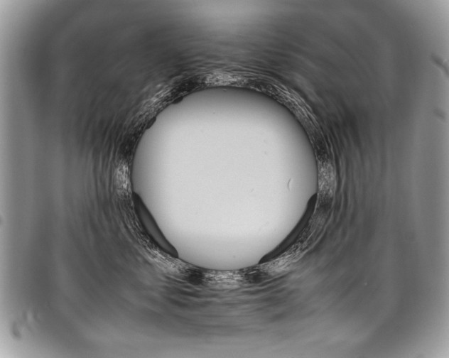 X0000098040621200803281433