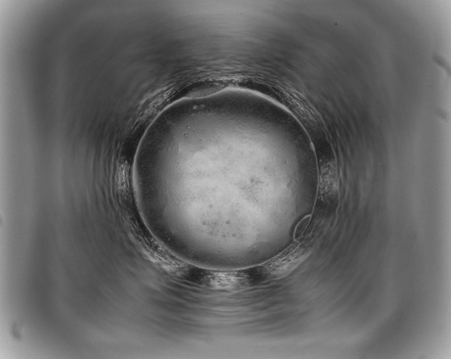 X0000098040623200803281433