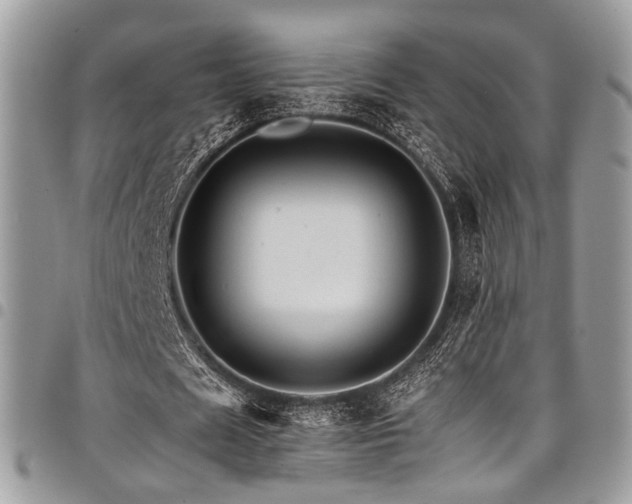 X0000098040625200803281432
