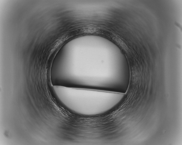 X0000098040626200803281432