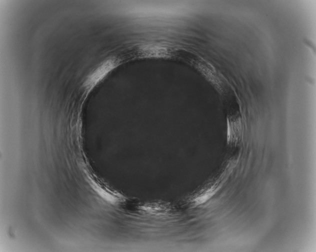 X0000098040627200803281432