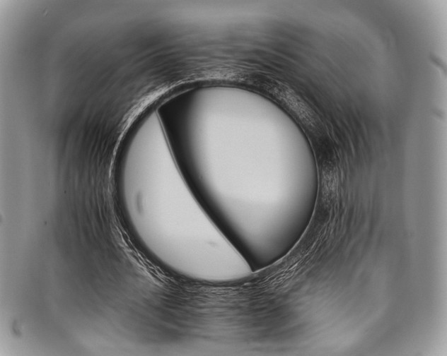 X0000098040628200803281432