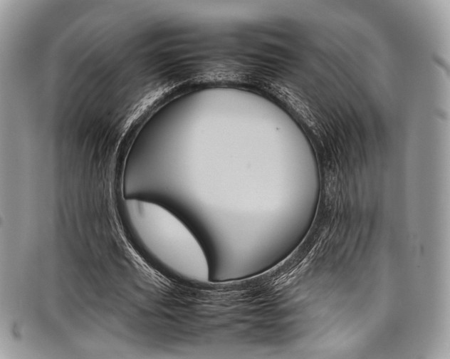 X0000098040629200803281432