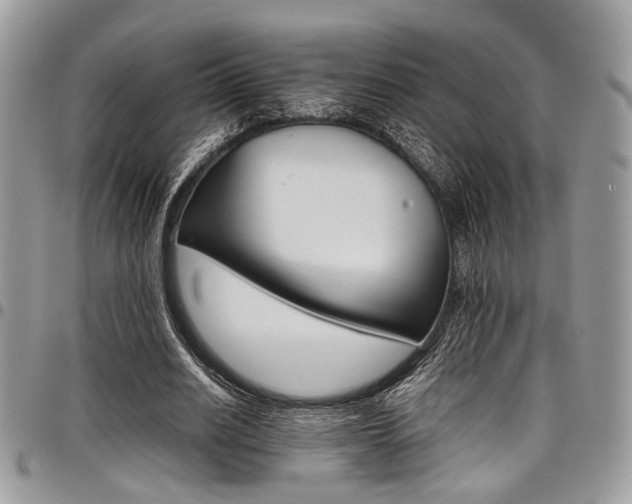 X0000098040630200803281432