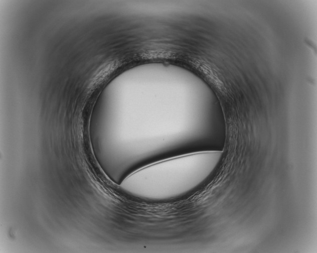 X0000098040631200803281432