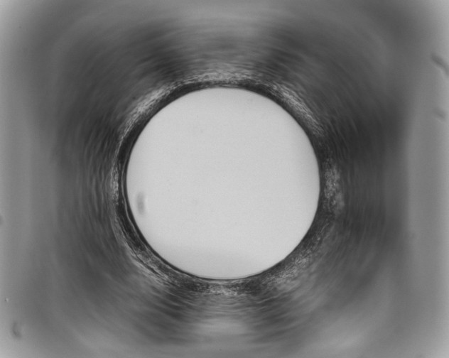 X0000098040632200803281432