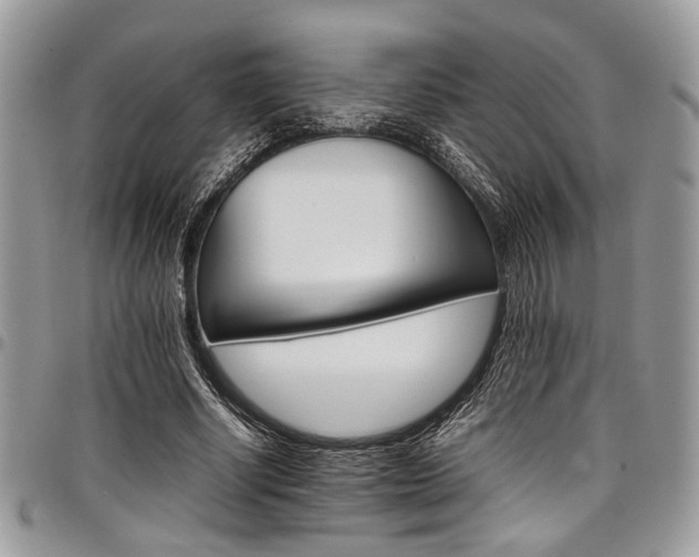 X0000098040634200803281432