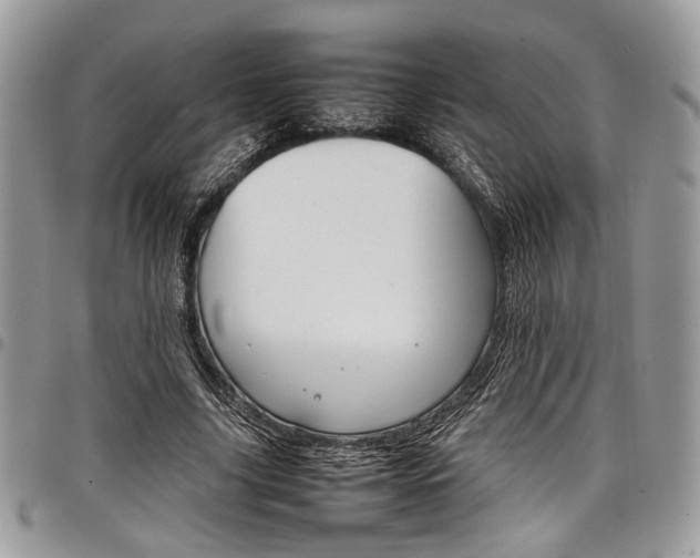 X0000098040635200803281432