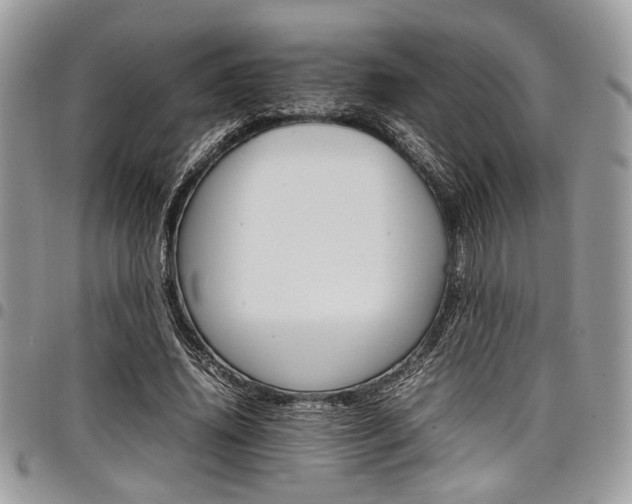X0000098040636200803281432