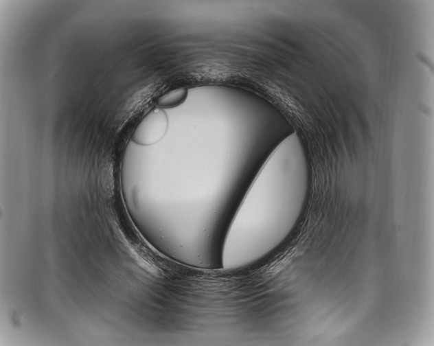 X0000098040638200803281432