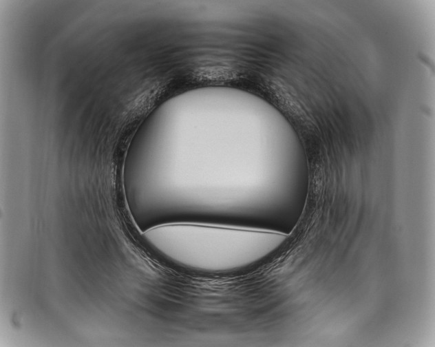 X0000098040639200803281432