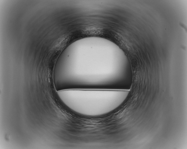 X0000098040643200803281433