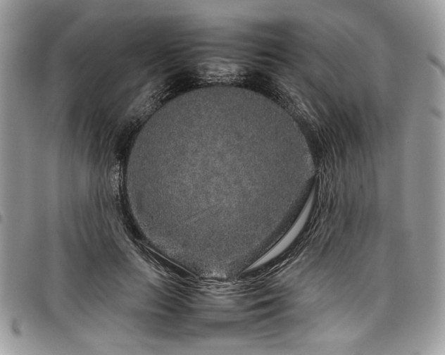 X0000098040647200803281433