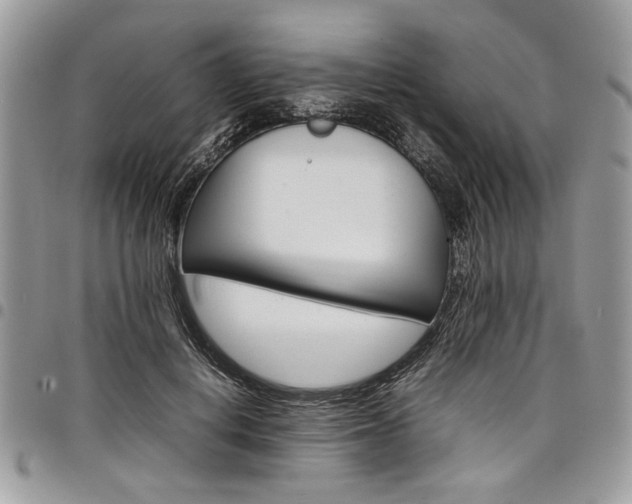 X0000098040648200803281433