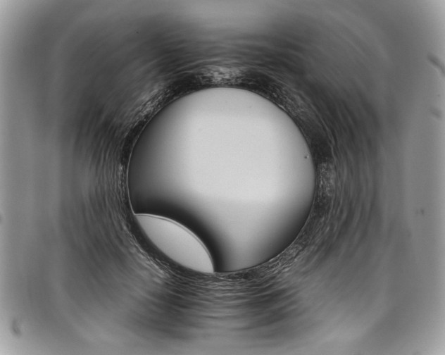 X0000098040650200803281433