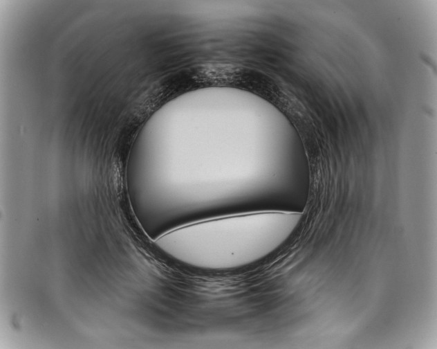 X0000098040651200803281433