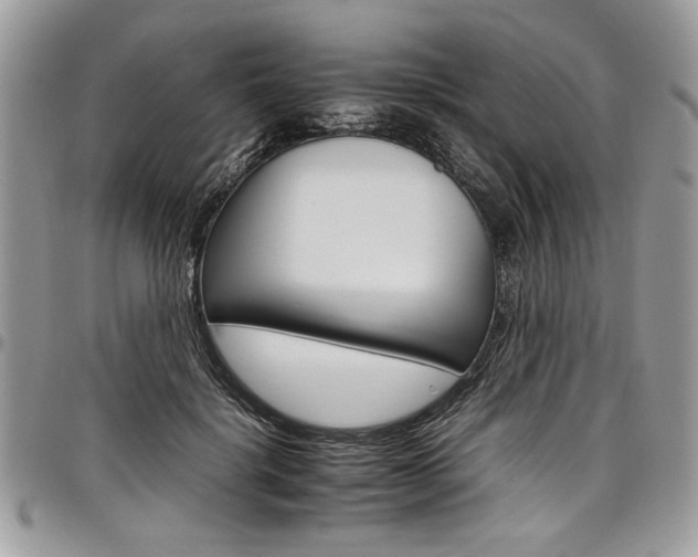 X0000098040652200803281433