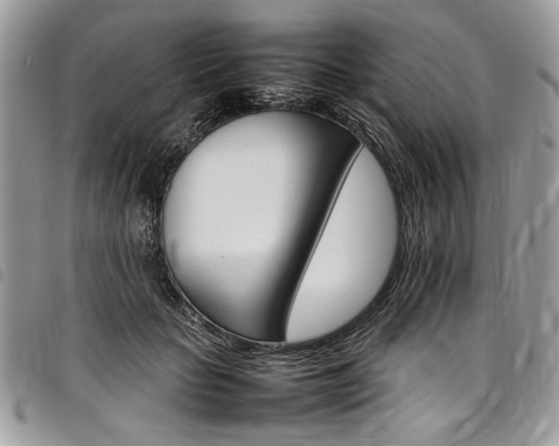 X0000098040653200803281433