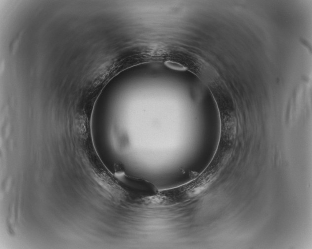 X0000098040654200803281433