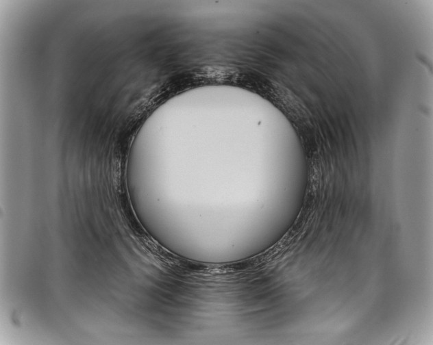 X0000098040656200803281433