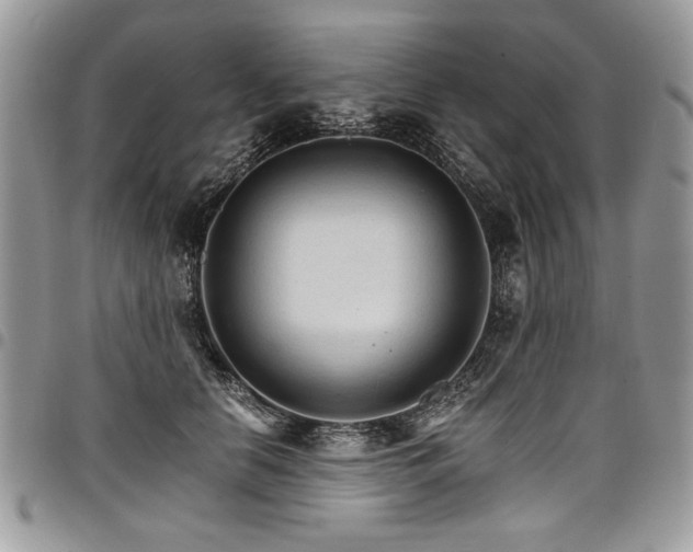 X0000098040658200803281433
