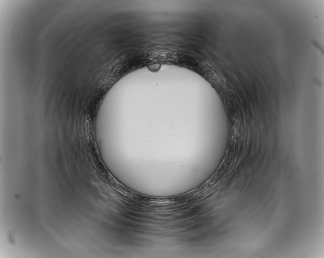 X0000098040659200803281433