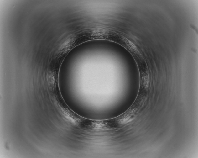 X0000098040662200803281433
