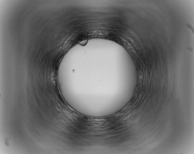 X0000098040663200803281433