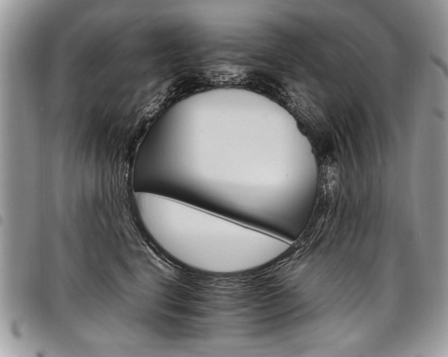 X0000098040664200803281433